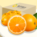 橙子�y行app