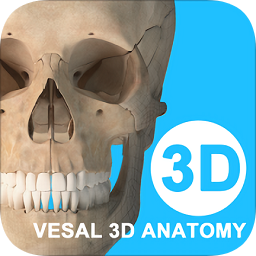 维萨里3d解剖电脑版