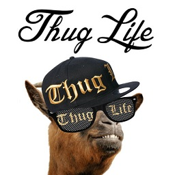 Thug life photo sticker maker(加