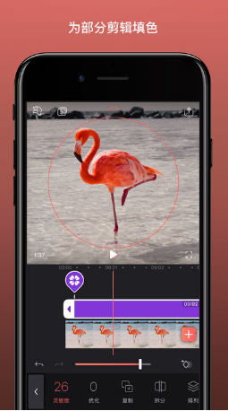 Videoleap app