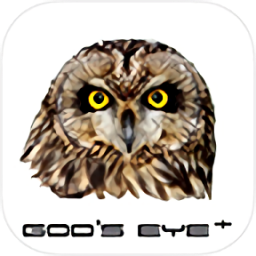 gods eye+行车记录仪保时捷v2.3.74