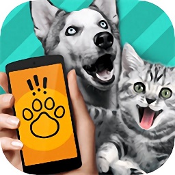 动物交流模拟器中文版v1.3 安卓版