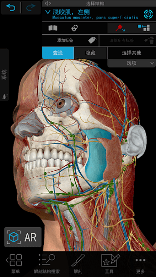atlas解剖模型�件 v2020.0.71 安卓版 2