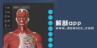 解剖app