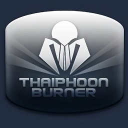 thaiphoon burner内存颗粒检测软件