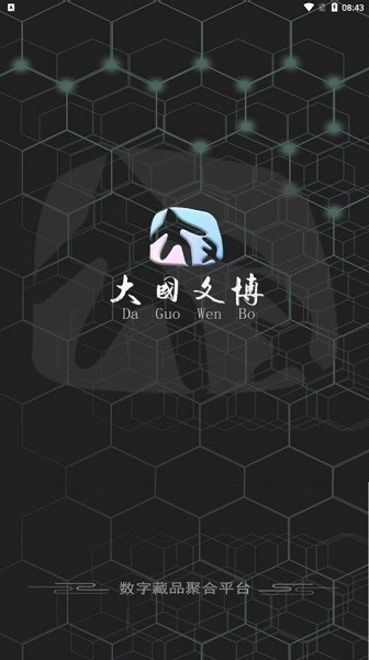 大国文博app